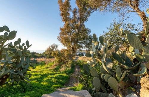 Villa Torre Leporano a due passi dal mare - Foto 33