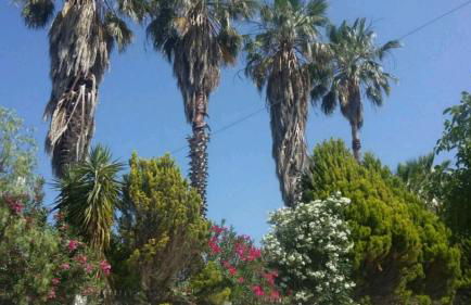 Peloponnese Guesthouse 12pax - Foto 36