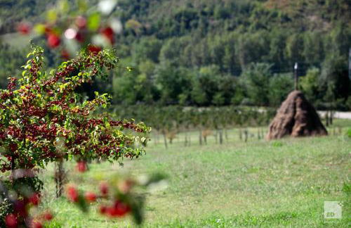 Locanda dei Cinque Cerri - Photo 61