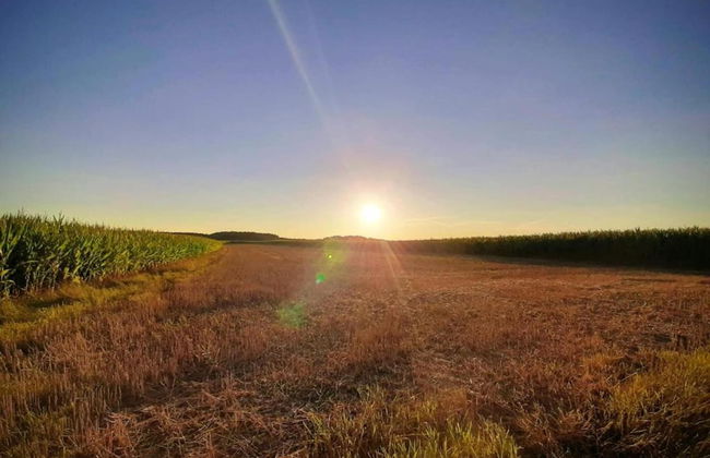 Lovely Holiday Home in Haunsheim - Foto 65