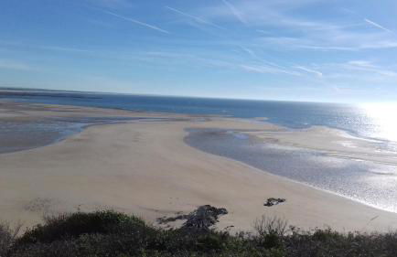 Le Hamelinet - Foto 11