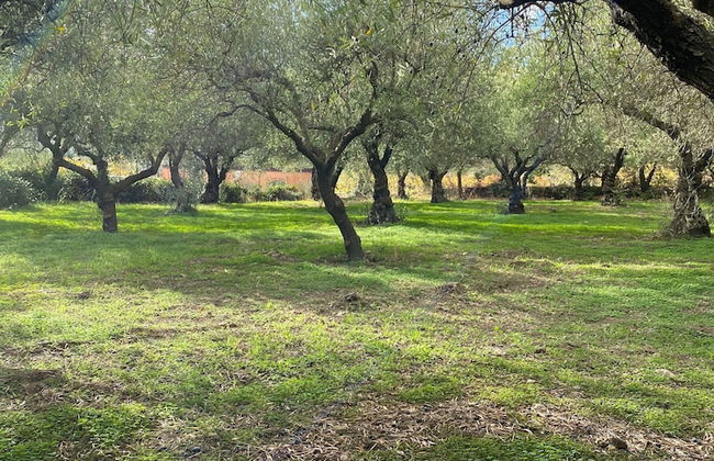 Magnificent Villa Between Etna and the sea With Breathtaking Views of Mount Etna - Photo 16