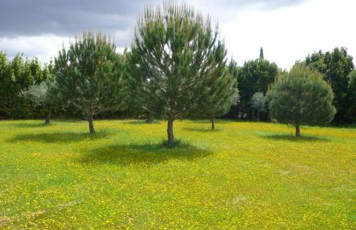 Casa Da Avo Genoveva - Foto 23