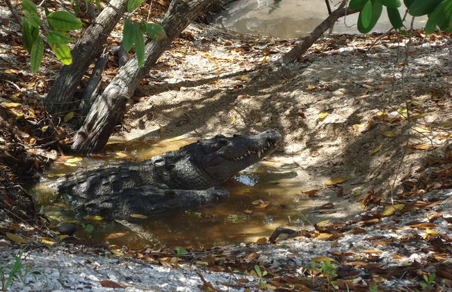 Visita al centro Wotoch Aayin - Foto 2