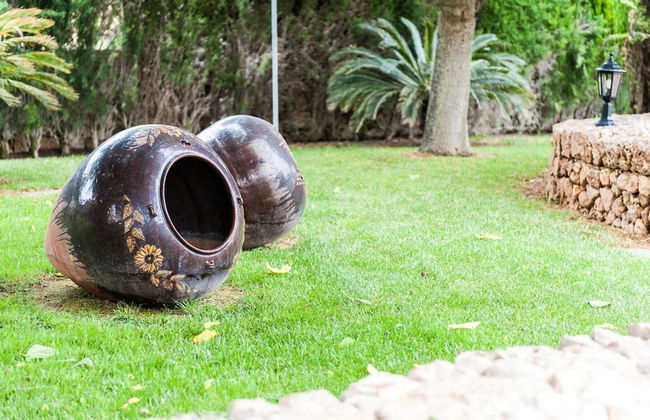 Can Rovey in Inca With 4 Bedrooms and 4 Bathrooms - Photo 31