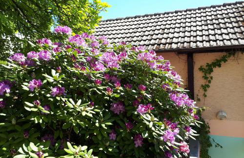 Rottgarten - Foto 10