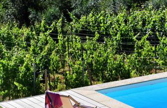 Quinta da Aldeia Nova - Foto 9