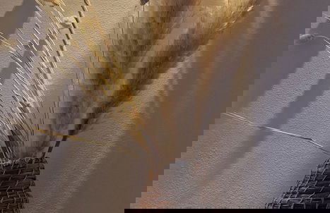 Mystic collection of Luxury apartments - Foto 44