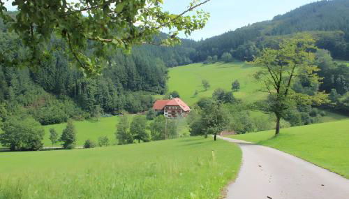 Geigerbauernhof - Foto 4