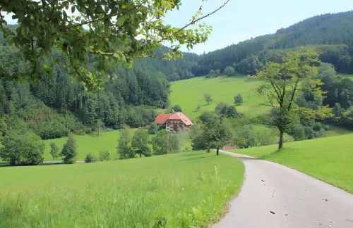 Geigerbauernhof - Foto 4