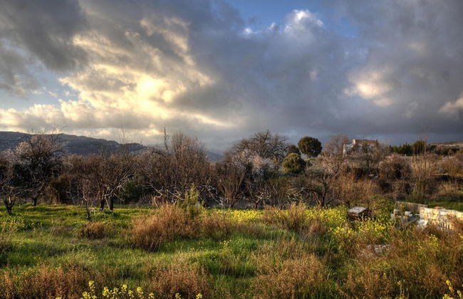 Lania Royal Oak House - Foto 20