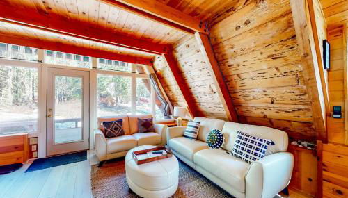 The Regal Bear - Foto 2