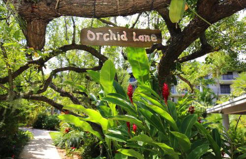 Casa Papa Del Mar - Foto 59