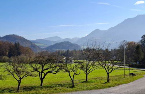 Ferienwohnungen „Zum Bauern“ - Foto 37