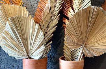 Casa Salga Patacho F003 - Rota Ecológica de São Miguel dos Milagres - Foto 25