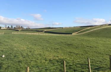 Breeze Place - Foto 65