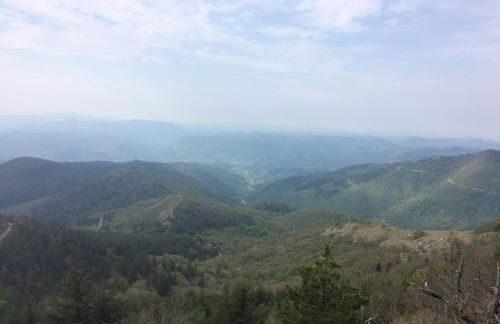 Appartement au cœur du parc national des Cévennes - Foto 15