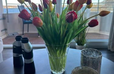 Weitblick - mit Strandkorb, mehr Meer geht nicht - Foto 6