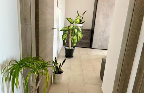 GreenChill House - West Rome - Foto 42