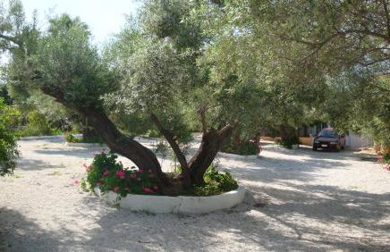 Calamon Apartments - Foto 35