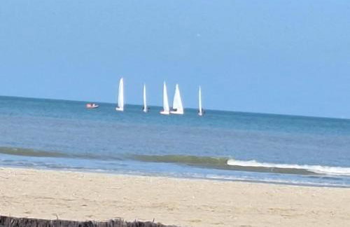 Super Deauville appartement 2 pièces cosy proche plage plein sud - Foto 4