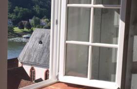 Natur und Neckarblick bei Heidelberg - Photo 30