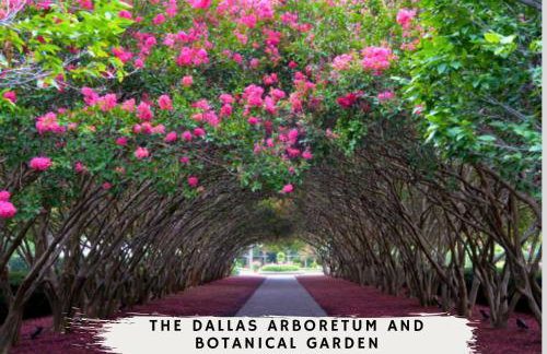 Best of Desoto - 5BR 3BA w Pool Patio BBQ Games - Foto 44