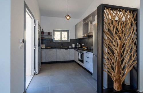 Areti-Elena Oxomeria - Foto 4