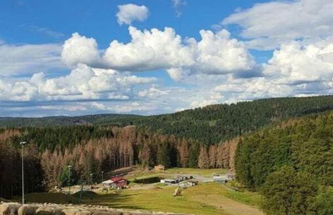 Ferienwohnung mit Sauna in Schonbrunn Thuringen - Photo 27