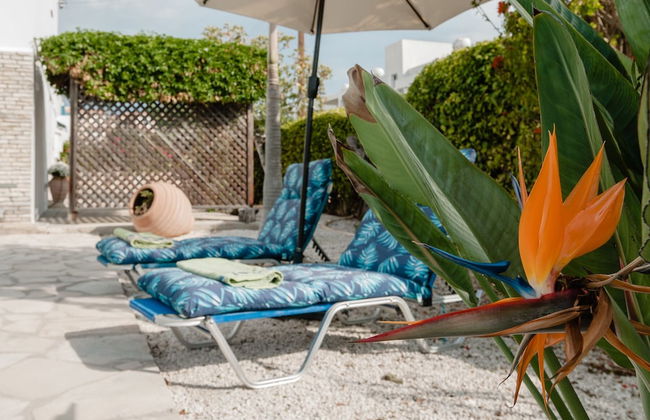 Villa Mozart - Photo 23