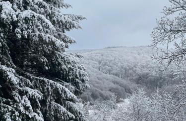 Elegant retreat with mountain panorama and tranquility - Foto 35