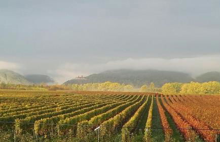 Valley ferienwohnung SÜW - Foto 14