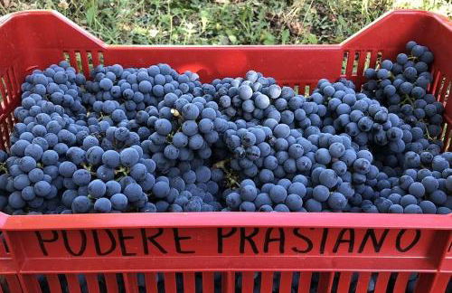 Agriturismo Podere Prasiano - Photo 38