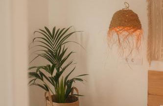 Casa Cactus - heated pool and only 5 boutique apartments - Foto 9