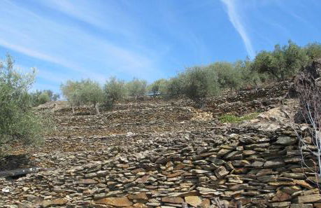 Seven Books House - Foto 33