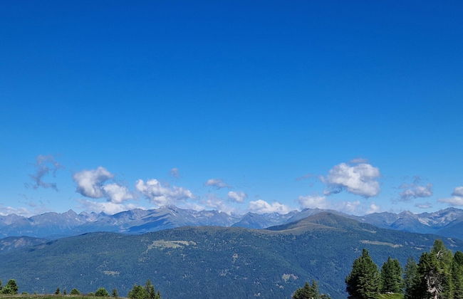 Chalet in Stadl an der Mur With Sauna - Foto 33