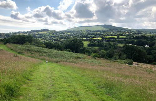 FoxesDen, Unique Eco Cabin, Dartmoor views - Foto 20