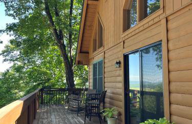 Top of the Line Asheville Mountain Cabin - Foto 63