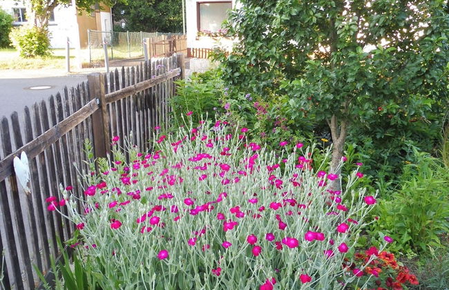 Apartment With Terrace and Pool in the Garden - Foto 24