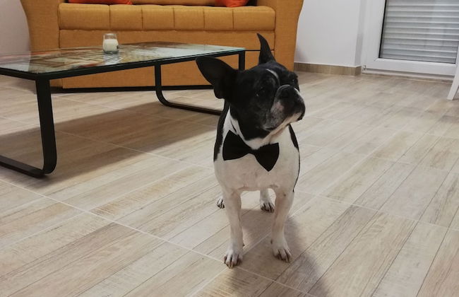 Airport View Apartments - Foto 30