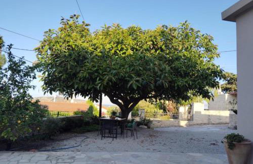 Minfot Local House - Photo 42