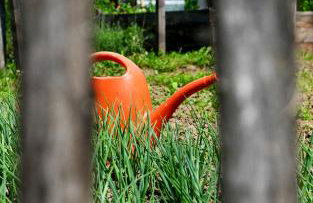 Apartment Murva - Foto 24