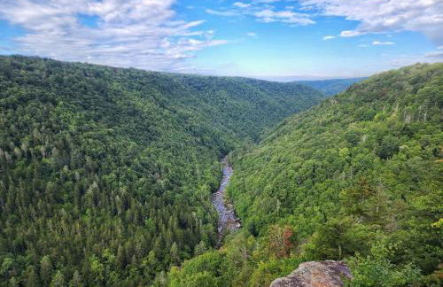 The Davis Ridge - Photo 38