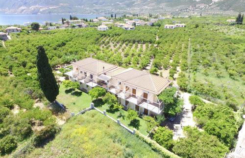 Το Είδωλον - Foto 1