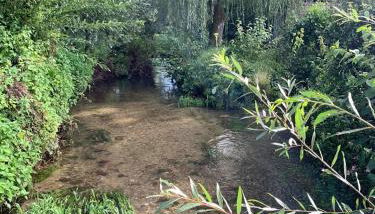 Le Moulin de la Planquette - Foto 2