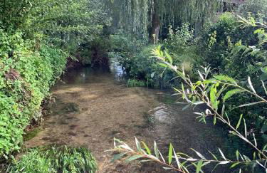 Le Moulin de la Planquette - Foto 2