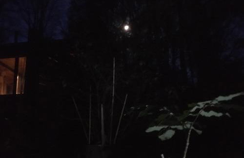 Bungalow Biberspur - Foto 40