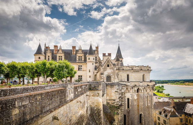 Amboise Castle Entrance Ticket - Foto 5