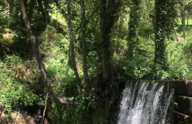 EL BALCÓN PANORÁMICO DE GREDOS - Foto 49