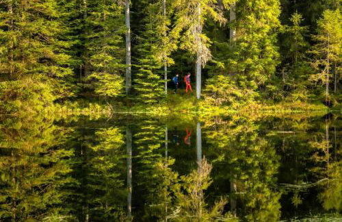 Haus Hubertus - Photo 37